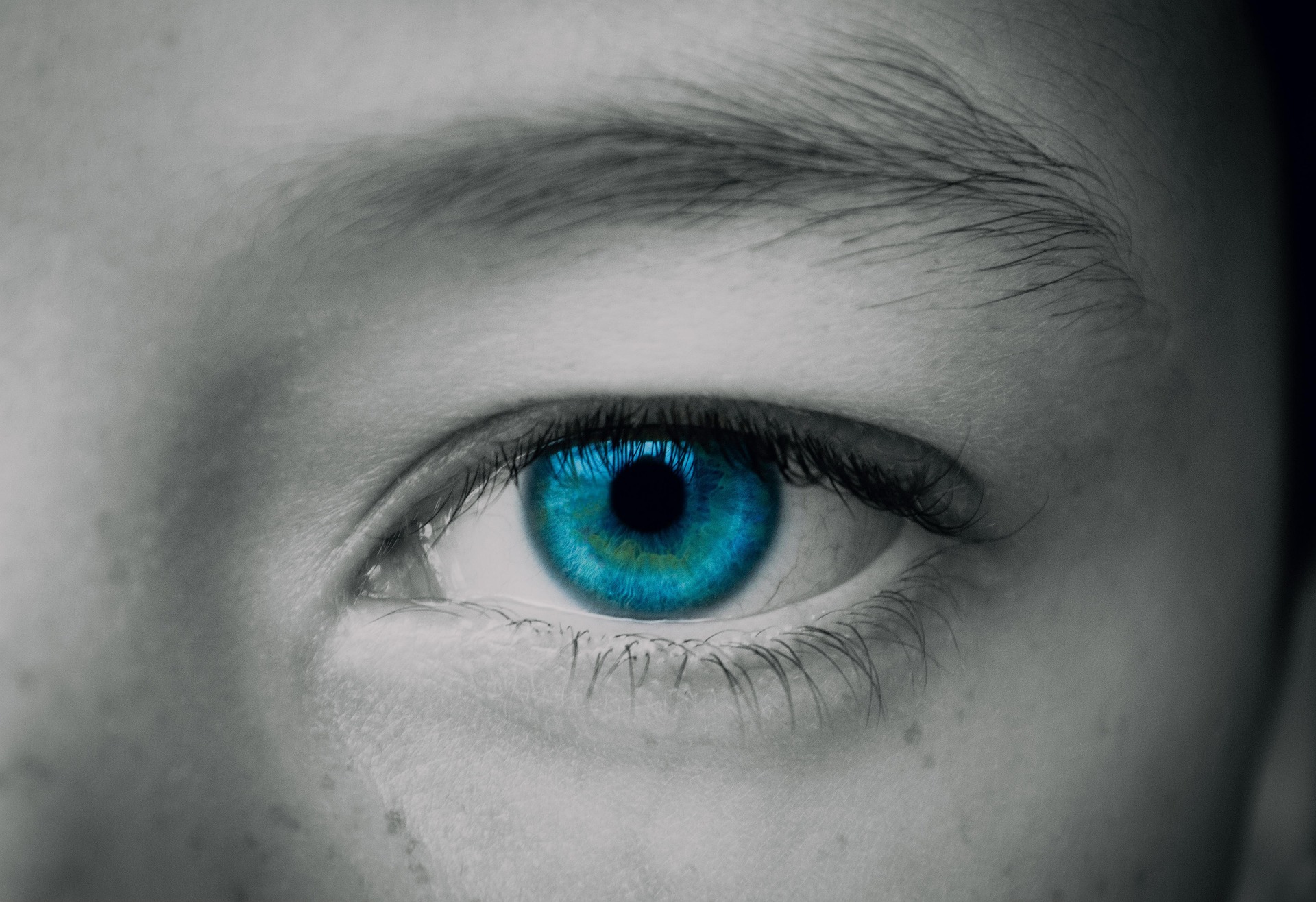 eye